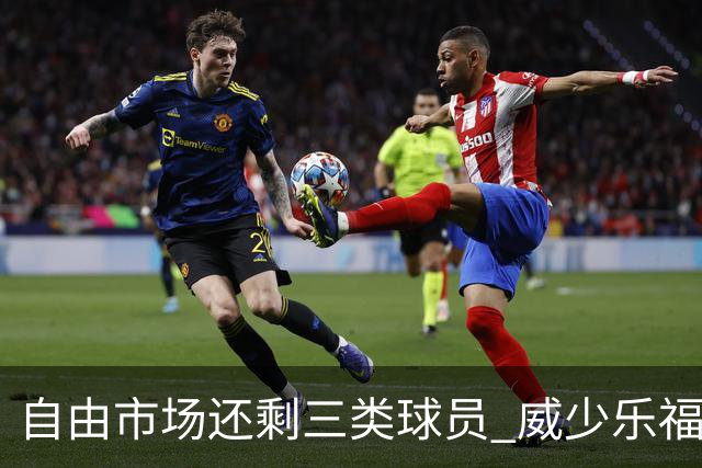 自由市场还剩三类球员 威少乐福领衔失业大军？